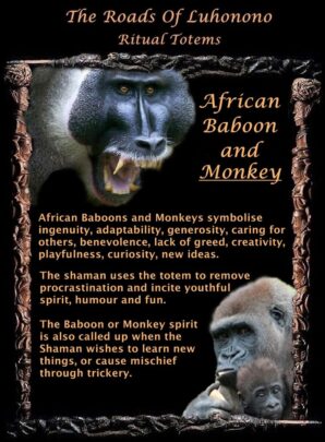 Baboon Spirit Animal Meaning