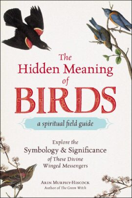 Bird Spirit Animal Meaning