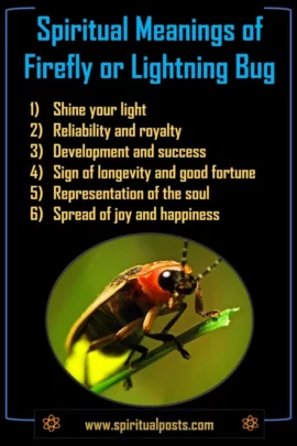 Firefly Spirit Animal Meaning