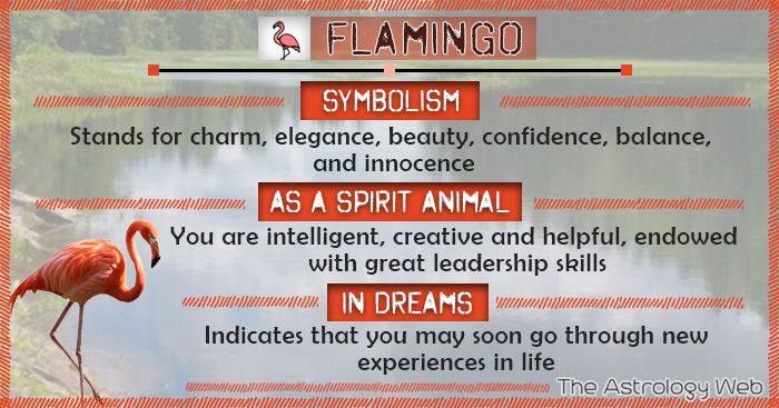Flamingo Spirit Animal Meaning