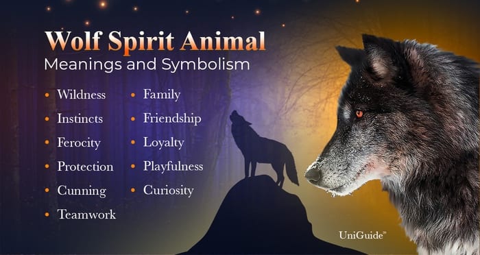 Grey Wolf Spirit Animal Meaning