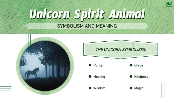 Unicorn Spirit Animal Meaning