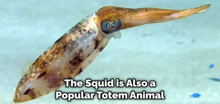 Squid Spirit Animal Meaning